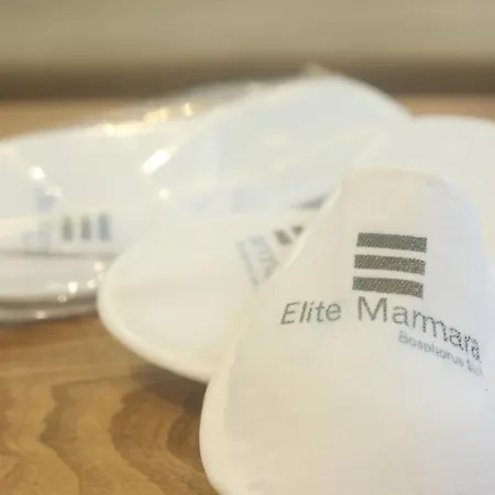 Elite Marmara Ortakoey Hotel & Suites Istanboel