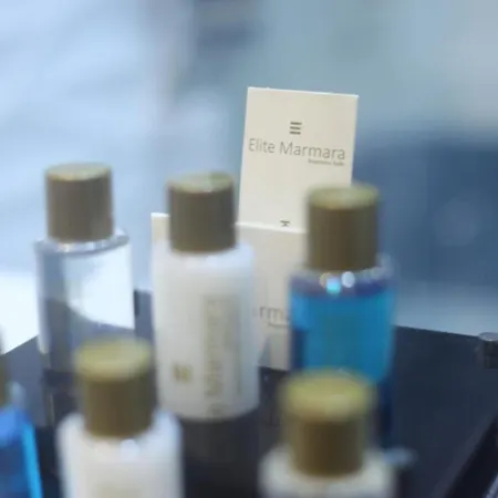 Elite Marmara Bosphorus Hotel Provincia di Istanbul