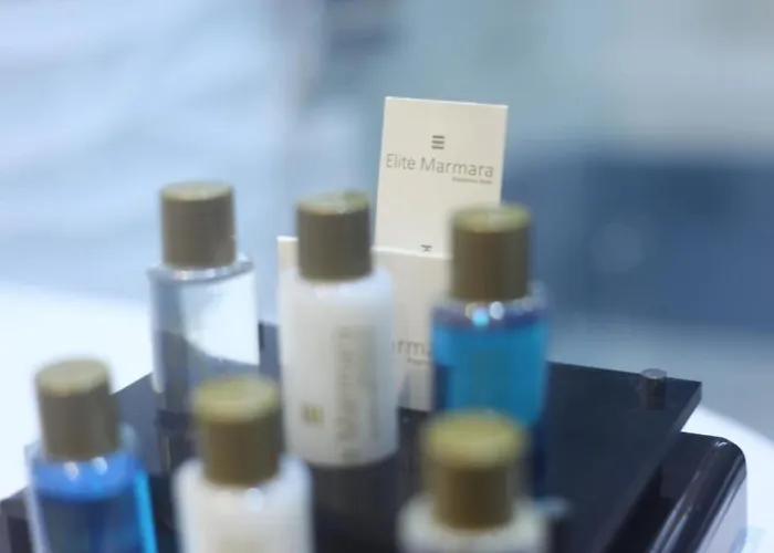 Elite Dumanlar 酒店 伊斯坦布尔